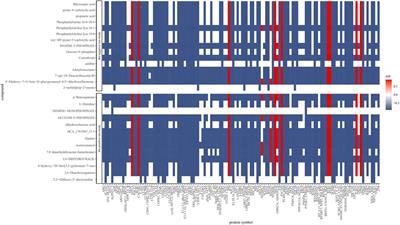 Integrative proteome and metabolome analyses reveal molecular basis of the tail resorption during the metamorphic climax of Nanorana pleskei